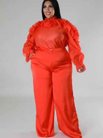 Elegant Two piece Plus size Top and Pant Set